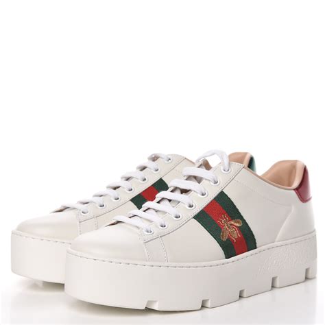 sneskers gucci